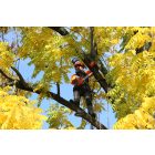 Oleo-Mac GST 250 professzionális egykezes benzinmotoros láncfűrész