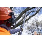 Oleo-Mac PPXI 530 akkumulátoros ágvágó