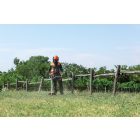 Oleo-Mac BC 300 T benzinmotoros bozótvágó