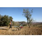 Bertolini BT 413 S EMAK motoros kultivátor