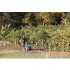 Bertolini BT 407 S benzinmotoros kultivátor Honda motorral